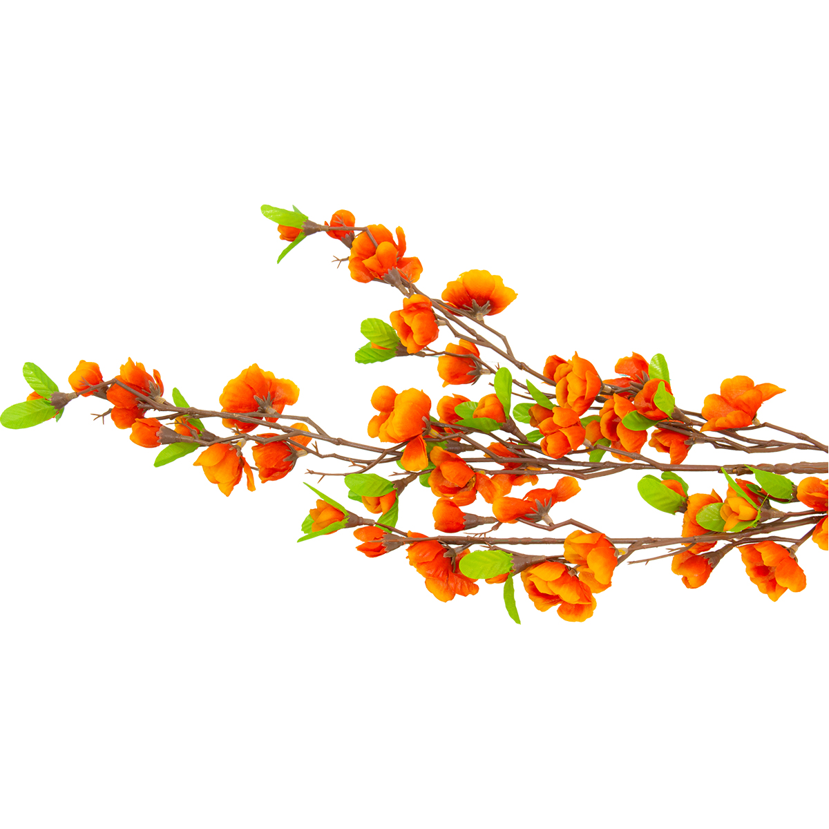 Flor De Durazno Naranja | Flores | decoracion